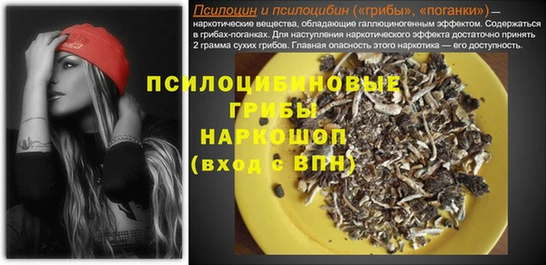 винт Костерёво