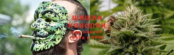 mdpv Краснослободск